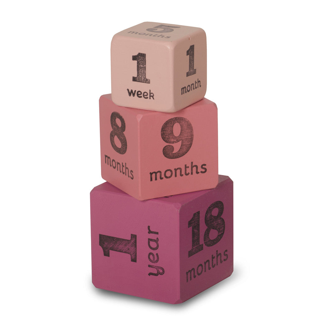 baby age blocks - multisize milestone set (3 color options)